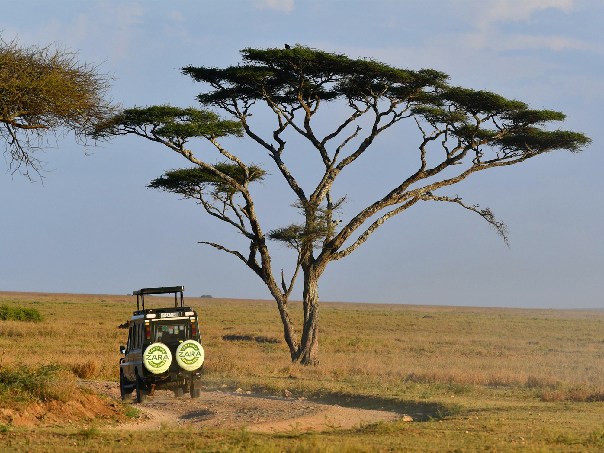 Serengeti Safari Lodge Eksteriør billede